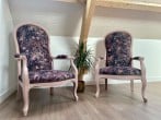Chairs and plant Chairs and plant